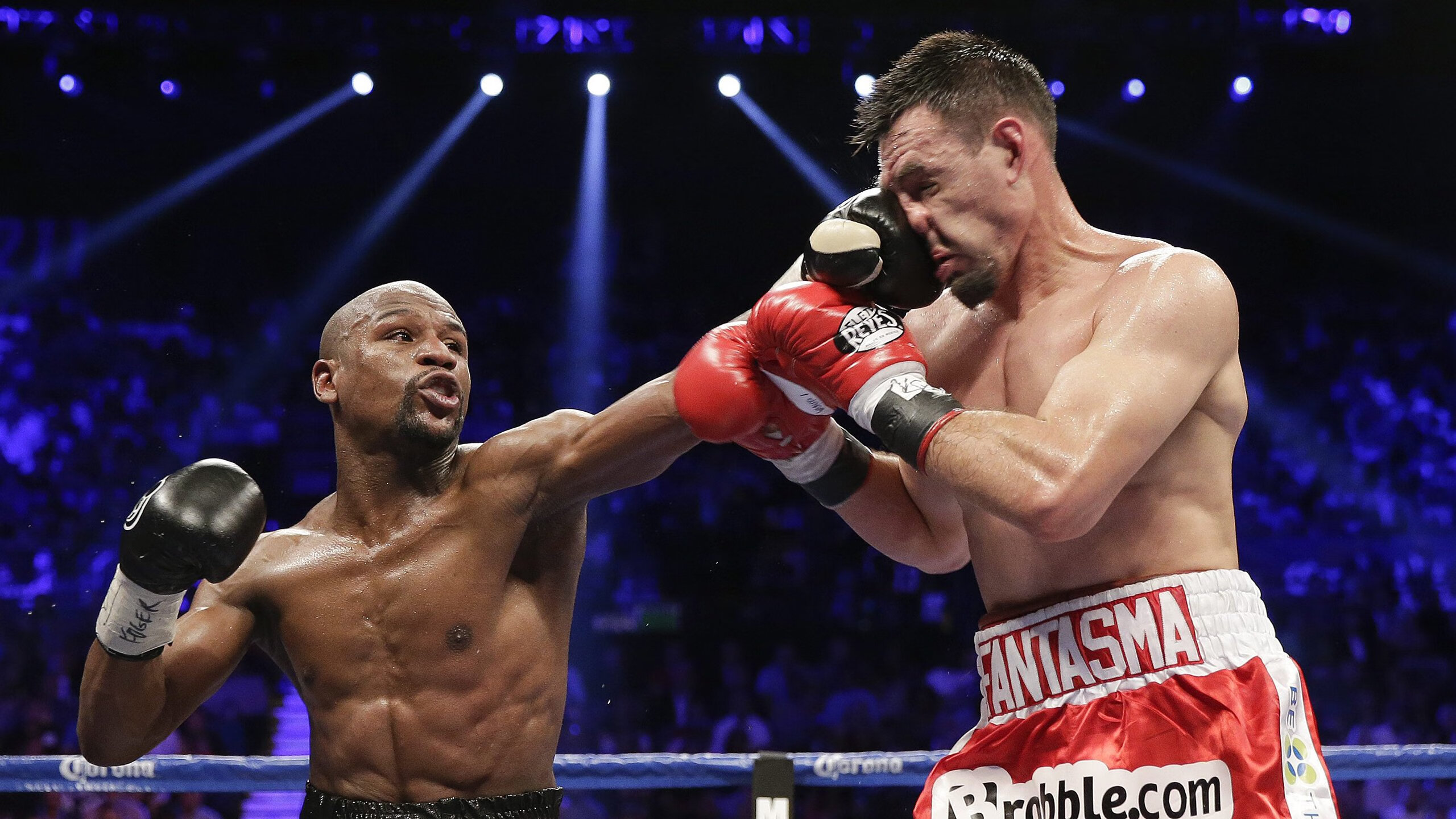 爱游戏体育官网-200蝶划频与心率数据关联分析